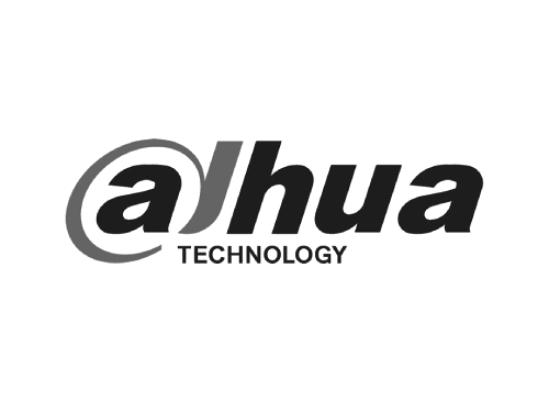 Logo dahua